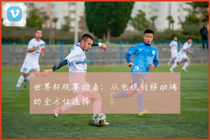 世界杯观赛指南:从电视到移动端的全方位选择