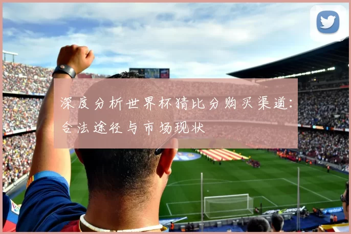 深度分析世界杯猜比分购买渠道：合法途径与市场现状