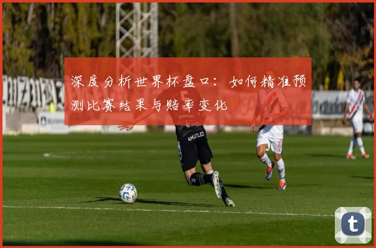 深度分析世界杯盘口：如何精准预测比赛结果与赔率变化