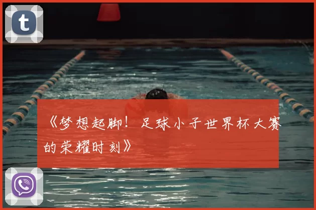 《梦想起脚!足球小子世界杯大赛的荣耀时刻》