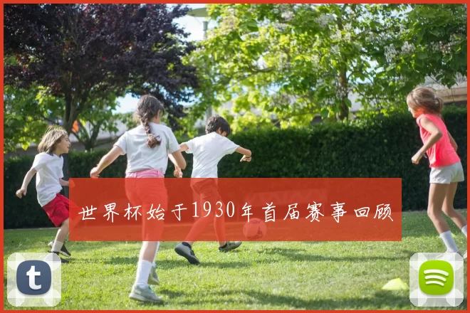 世界杯始于1930年首届赛事回顾