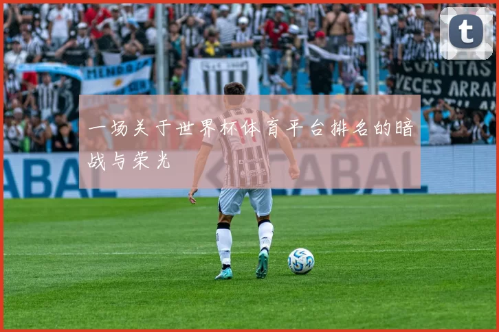 一场关于世界杯体育平台排名的暗战与荣光