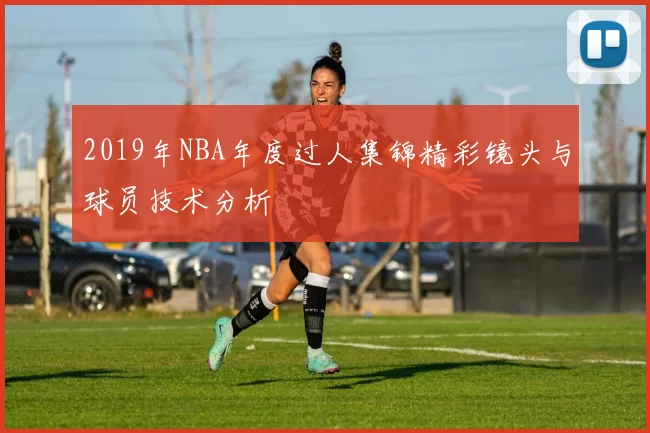 2019年NBA年度过人集锦精彩镜头与球员技术分析