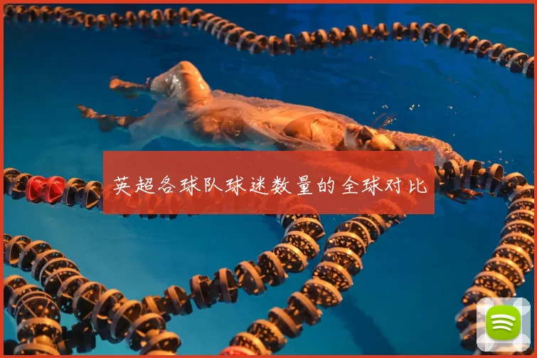 英超各球队球迷数量的全球对比