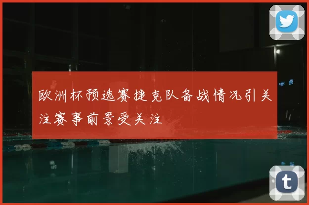 欧洲杯预选赛捷克队备战情况引关注赛事前景受关注