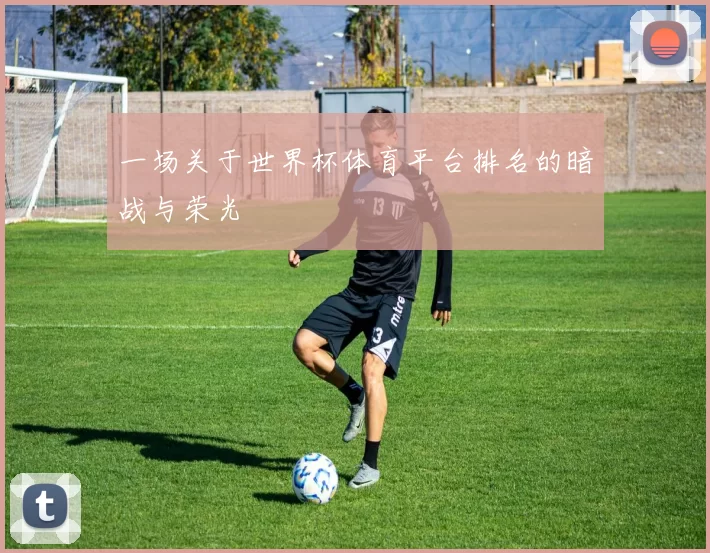 一场关于世界杯体育平台排名的暗战与荣光